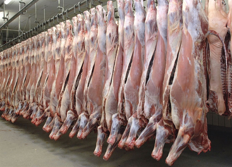 Abattoir humidification