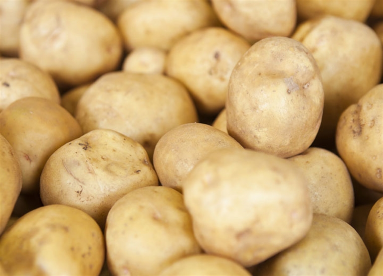 Crop storage humidification